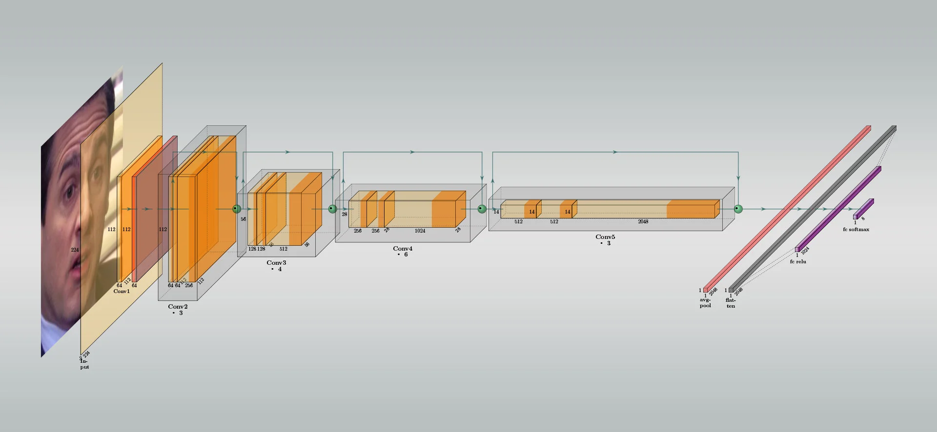 Schematische Darstellung des fine-tuned ResNet50